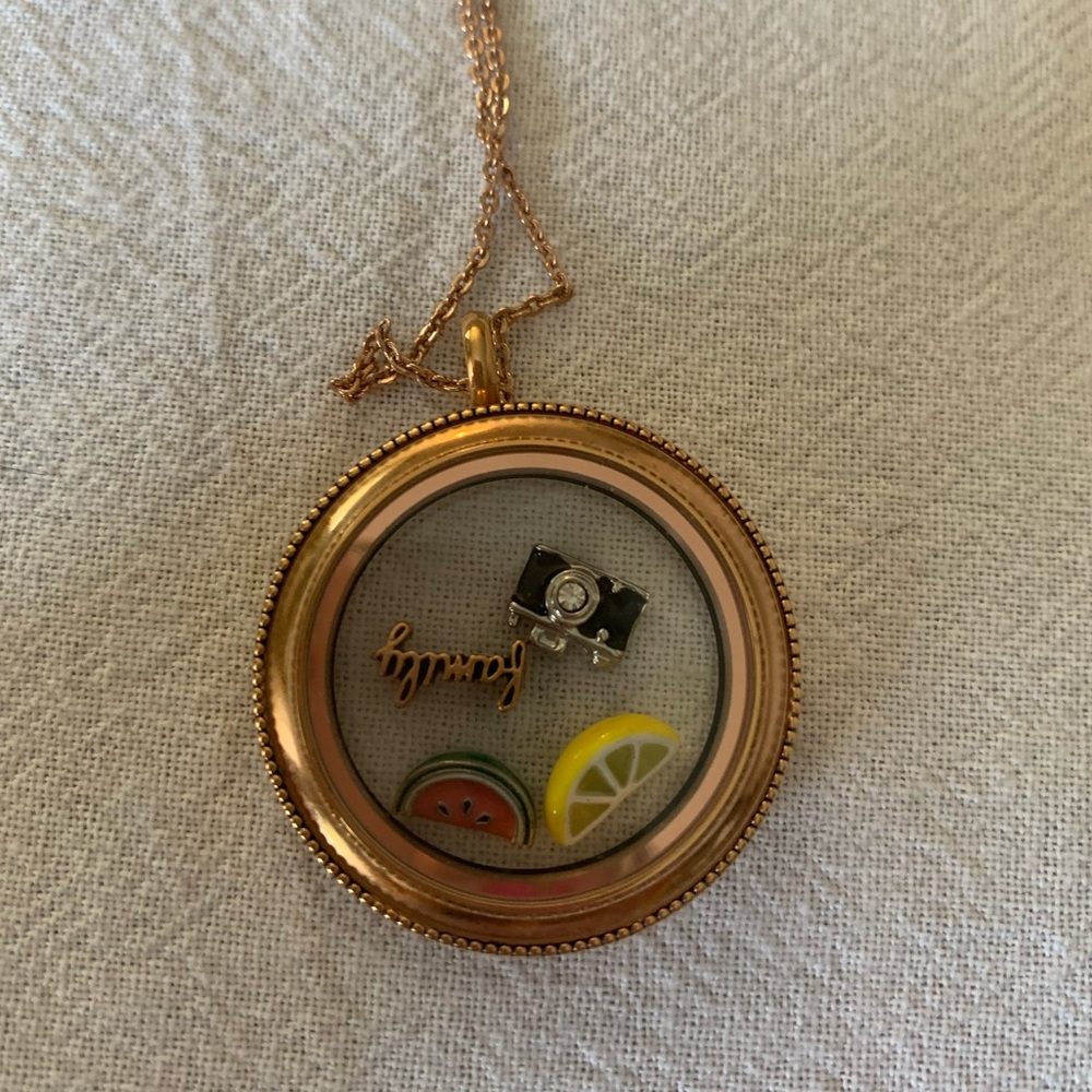 Origami owl charm lot